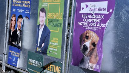 Des affiches du Parti animaliste, d'Europe Ecologie - Les Verts et des Républicains, à Paris, le 16 mai 2019. (MAXPPP)