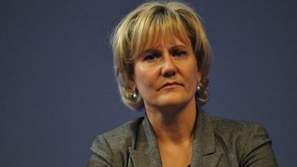 Nadine Morano, ministre de l'Apprentissage et de la Formation professionnelle, &agrave; Paris le 22 novembre 2011.&nbsp; (ZAER BELKALAI /&nbsp;CITIZENCIDE / AFP)