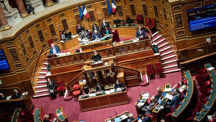 Une vue du Sénat, à Paris, le 18 novembre 2024. (XOSE BOUZAS / HANS LUCAS / AFP)