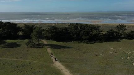 Vendée : les sports d'hiver à la plage