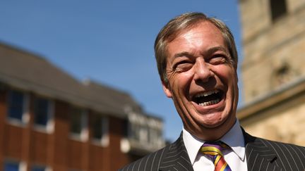 Le leader du Parti du Brexit, Nigel Farage, en campagne pour les élections européennes, le 13 mai 2019 à Pontefract, dans le comté du Yorkshire de l'ouest, en Angleterre (Royaume-Uni).&nbsp; (OLI SCARFF / AFP)