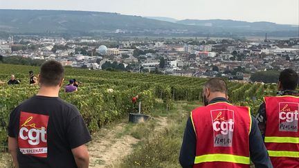 La CGT sillonne le vignoble champenois pour informer les vendangeurs sur leurs droits. (CAMILLE MARIGAUX / RADIO FRANCE)