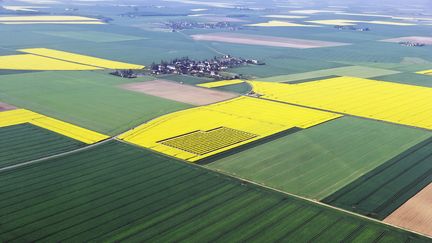 Des hameaux et des fermes dans le Loir-et-cher entourés de champs. Photo d'illustration. (CHRISTIAN WATIER / MAXPPP)