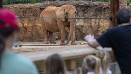 Des visiteurs du zoo d'Atlanta, aux Etats-Unis, en 2020. (ERIK S. LESSER / EPA)