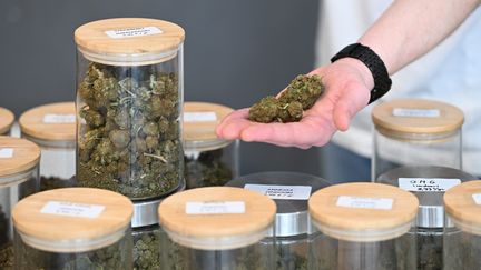 HHC, molecule de synthese du cannabis, interdite à la vente et à la consommation en France depuis le 13 juin 2023. (JOSSELIN CLAIR / MAXPPP)