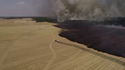 Deux-Sèvres : les moissons, une période propice aux incendies des cultures (France 3)