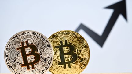 La valeur du bitcoin a été multipliée par dix en moins d'un an. (MAXPPP)