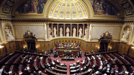 Apr&egrave;s l'Assembl&eacute;e nationale, le S&eacute;nat a adopt&eacute; le trait&eacute; budg&eacute;taire europ&eacute;en. (ERIC FEFERBERG / AFP)