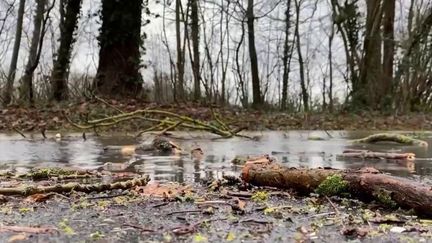 Tempête Gérard : des records de vent battus sur la façade Ouest (France 3)