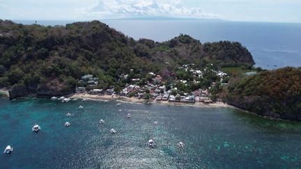 Philippines : l’île d’Apo, le joyaux sans pollution de l’archipel (Franceinfo)