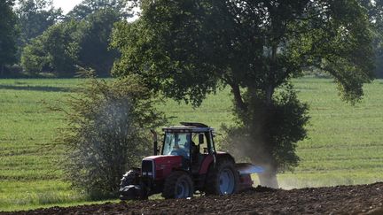 Bretagne : le manque d’éleveurs inquiète sur les îles.i