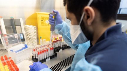 Un technicien de laboratoire manipule des échantillons du coronavirus au laboratoire de l'hôpital Henri Mondor de Créteil (AP-HP), en décembre 2021. (THOMAS SAMSON / AFP)