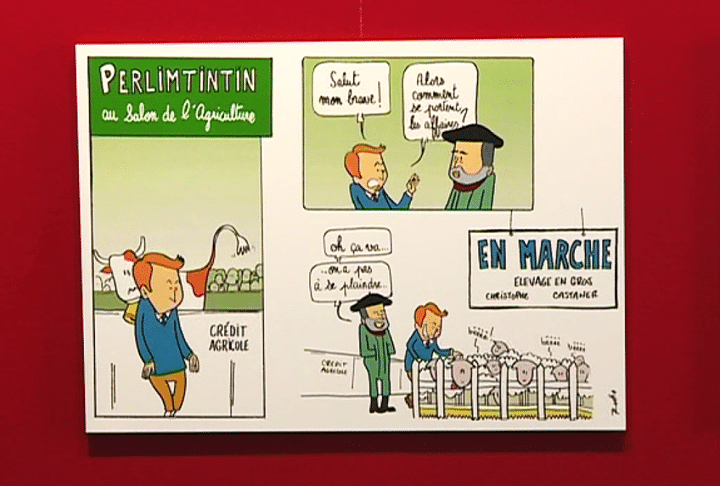 Les aventures de "Perlimtintin" du dessinateur Rodho
 (France 3)