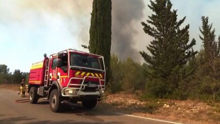 Un incendie d'ampleur est en cours dans le Gard, près d'Aubais, dimanche 31 juillet. De nombreux pompiers sont mobilisés, comme le raconte la journaliste Camille Thomaso, présente sur place. (FRANCE 3)