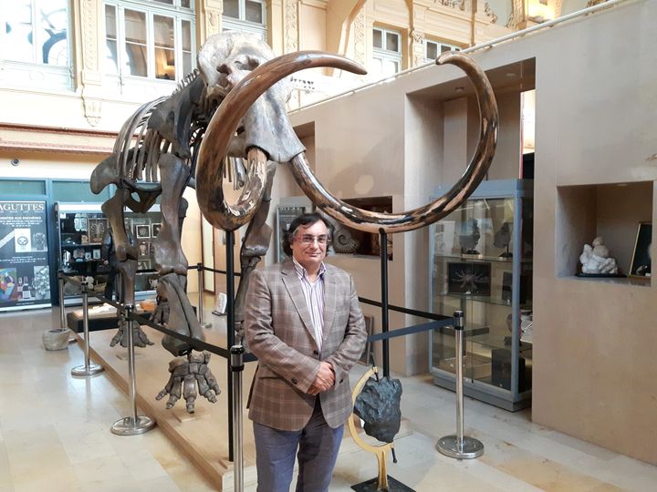 Eric Mickeler, expert international en histoire naturelle, pose devant le mammouth mis aux enchères samedi 16 décembre à Lyon. Une pièce rare selon le spécialiste.&nbsp;&nbsp; (CHRISTOPHE VINCENT / RADIO FRANCE)