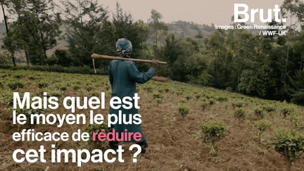 L’agriculture mondiale pollue la planète. Mais quel est le moyen le plus efficace de réduire cet impact ? Des scientifiques se sont posés la question.