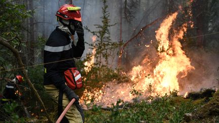 Des pompiers luttent contre les flammes, le 9 août 2022 à&nbsp;Mostuéjouls (Aveyron). (VALENTINE CHAPUIS / AFP)