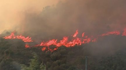 Pyrénées-Orientales : un village menacé par un violent incendie, les habitants évacués