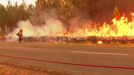 Incendies en Gironde et dans les Landes :&nbsp;allumer des feux pour ralentir les flammes (France 3)