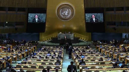 L'assemblée des Nations unies à New York (JEWEL SAMAD / AFP)