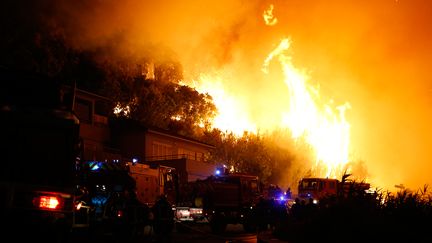 Des sapeurs-pompiers luttent contre les flammes à Biguglia (Haute-Corse), le 24 juillet 2017. (PASCAL POCHARD-CASABIANCA / AFP)