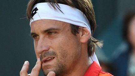 L'Espagnol David Ferrer