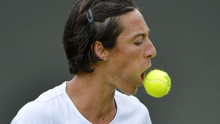 L'Italienne Francesca Schiavone recrache la balle de tennis qu'elle tenait dans sa bouche lors de son match face &agrave; la Tch&egrave;que Petra Kvitova au tournoi de Wimbledon (Royaume-Uni), le 2 juillet 2012. (TOBY MELVILLE / REUTERS)