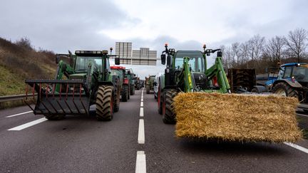 Des agriculteurs bloquent l'autoroute A31 près de Thionville (Moselle), le 25 janvier 2024. (KEVIN REITZ / HANS LUCAS / AFP)