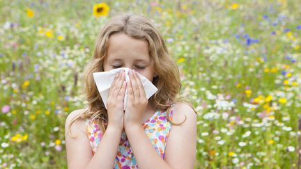 Les allergiques doivent se pr&eacute;parer &agrave; une recrudescence de pollens dans les airs, d'ici la semaine prochaine.&nbsp; (ECHO / CULTURA RF / GETTY IMAGES)