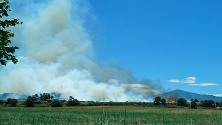 L'incident a eu lieu entre les communes d'Elne et de Montescot (Pyrénées-Orientales), le 2 juillet 2017. (Mathieu Ferri / RADIO FRANCE)