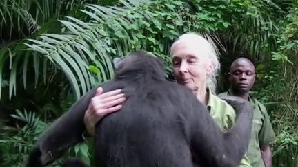 Musée Grévin : la primatologue Jane Goodall fait son entrée (France 2)