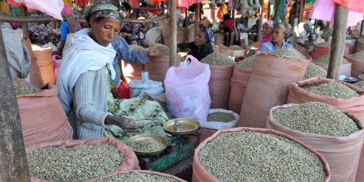 L'Ethiopie, 2e producteur mondial de café. (BERAUD / BSIP)