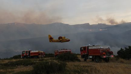 Les pompiers luttent contre les flammes, près de Marseille, le 5 septembre 2016. (MAXPPP)