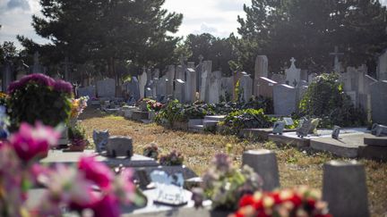 A quelques jours de la fête catholique de la Toussaint, célébrée le 1er novembre,&nbsp;les cimetières&nbsp;de la Guillotière, à Lyon. (Illustration) (NORBERT GRISAY / HANS LUCAS / AFP)