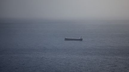 Un cargo navigue au large d'Haifa (Israël), le 13 décembre 2023. (MATI MILSTEIN / NURPHOTO / AFP)