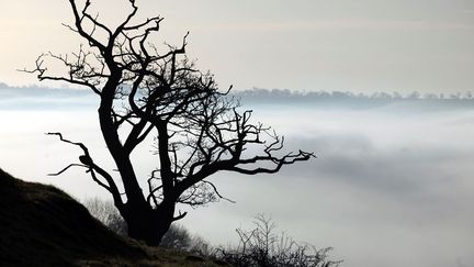 &nbsp; (MATT CARDY / GETTY IMAGES)