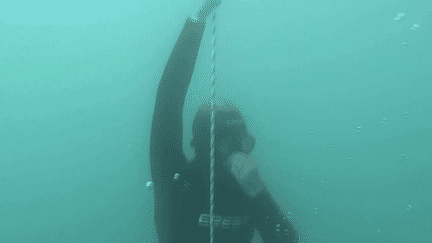 Haute-Savoie : immersion dans les séances de plongée en apnée au lac d’Annecy (FRANCE 3)