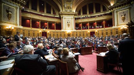  (Le Sénat où a été votée la loi Travail  © MaxPPP)