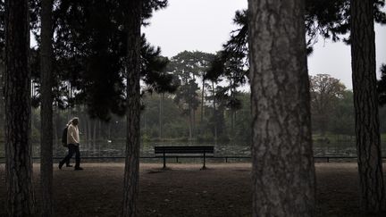 Le bois de Boulogne, à l'ouest de Paris, le 25 octobre 2016. (MARTIN BUREAU / AFP)