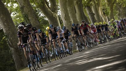 Le peloton du Tour de France lors de la 13e &eacute;tape, vendredi 17 juillet 2015. (LIONEL BONAVENTURE / AFP)