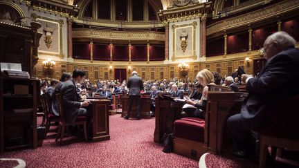 A l'intérieur de l'hémicycle du Palais du Luxembourg (Paris), où siège le Sénat, le 17 novembre 2016. (LIONEL BONAVENTURE / AFP)