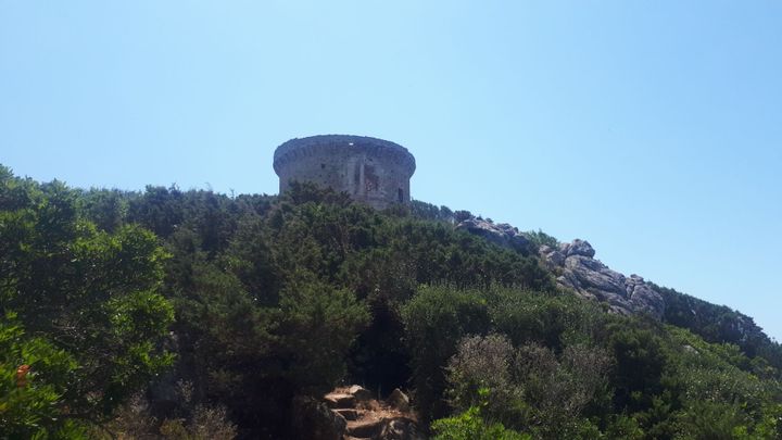 La tour génoise de Campomoro, au sud de Propriano, le 8 juillet 2020 (FARIDA NOUAR / FRANCEINFO / RADIO FRANCE)