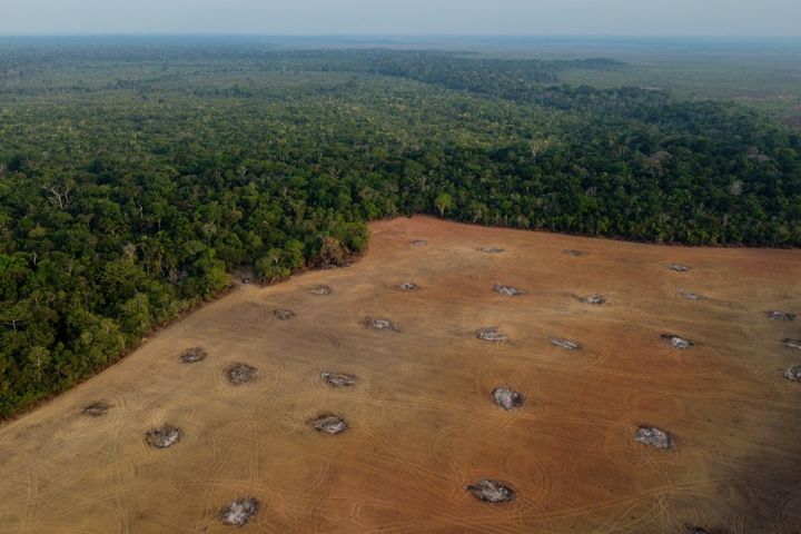 Vue aérienne d'une zone déboisée de la forêt amazonienne dans l'État d'Amazonas, au Brésil, le 15 septembre 2022. (MICHAEL DANTAS / AFP)