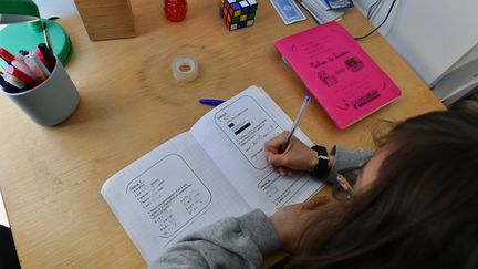 Une enfant fait ses devoirs chez elle, à Lille (Nord), le 5 avril 2021. (MAXPPP)