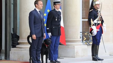 Emmanuel Macron est, depuis le week-end du 26 et 27 août, propriétaire d'un chien baptisé Nemo, adopté à la SPA.&nbsp; (LUDOVIC MARIN / AFP)