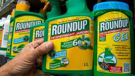 Des bouteilles de Roundup, le 15 juin 2015 dans un magasin de Lille (Nord). (PHILIPPE HUGUEN / AFP)