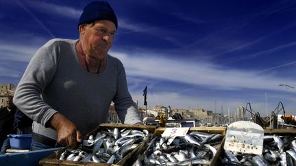  (la criée aux poissons sur le Vieux Port de Marseille © Maxppp)