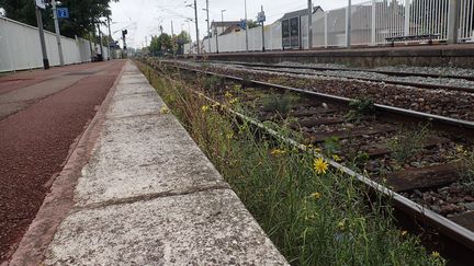 De l'herbe près des voies SNCF à Ermont (Val-d'Oise). (OLIVIER BOITET / MAXPPP)