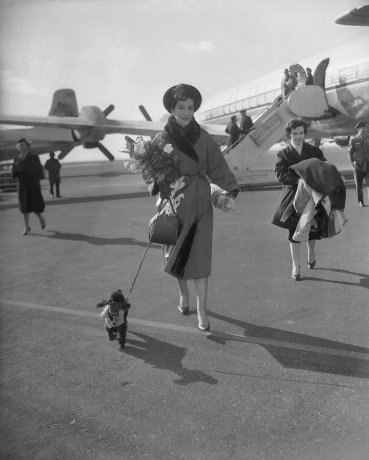 Maria Callas, here with her dog, had just landed in New York on January 9, 1959 from Milan to perform at Carnegie Hall and other American concerts.  (BETTMANN)