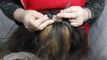 Une couturi&egrave;re fabrique une perruque avec de vrais cheveux destin&eacute;e &agrave; une petite fille atteinte d'un cancer &agrave; Santiago (Chili), le 22 ao&ucirc;t 2011. (RODRIGO GARRIDO / REUTERS)